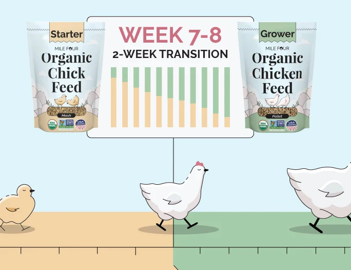Screenshot 2026-03-09 at 16-57-27 Chicken Feed Ultimate Guide Best Chicken Feed Costs FREE eBook – Mile Four