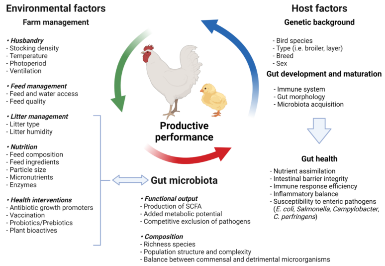 microorganisms-10-00395-g001