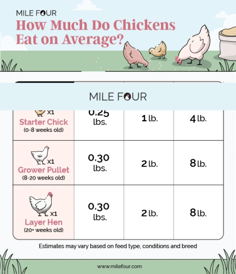 Screenshot 2026-03-09 at 16-56-12 Chicken Feed Ultimate Guide Best Chicken Feed Costs FREE eBook – Mile Four