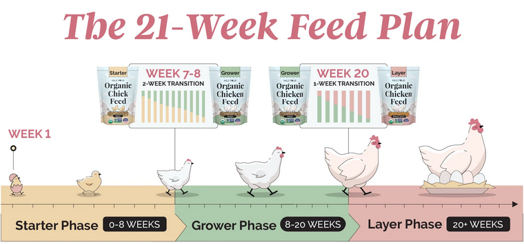 Screenshot 2026-03-09 at 16-57-18 Chicken Feed Ultimate Guide Best Chicken Feed Costs FREE eBook – Mile Four