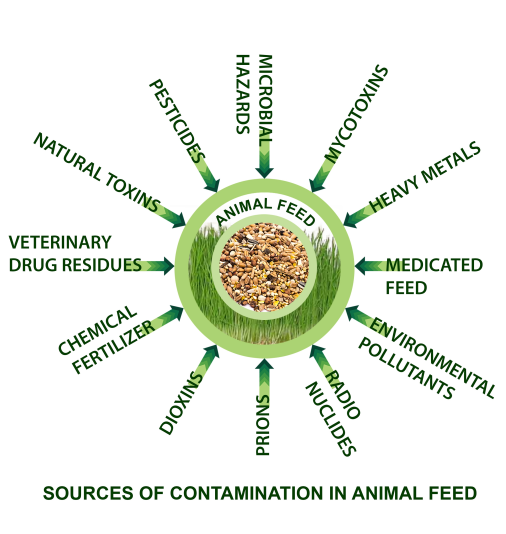 bh_37_sources_contamination_1