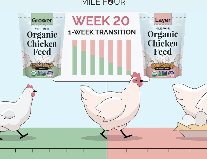 Screenshot 2026-03-09 at 16-57-36 Chicken Feed Ultimate Guide Best Chicken Feed Costs FREE eBook – Mile Four