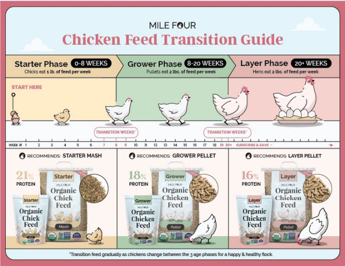 Screenshot 2026-03-09 at 16-57-49 Chicken Feed Ultimate Guide Best Chicken Feed Costs FREE eBook – Mile Four
