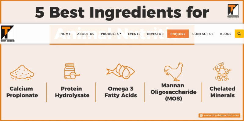 Screenshot 2026-03-09 at 16-21-01 5 Best Ingredients for Animal Nutrition Titan Biotech Ltd