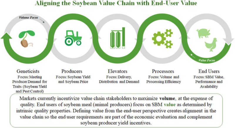 Soybean-value-chain
