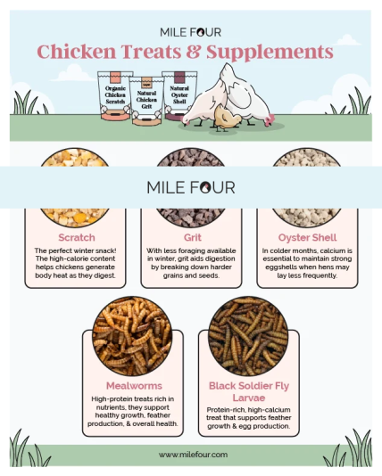 Screenshot 2026-03-09 at 16-55-50 Chicken Feed Ultimate Guide Best Chicken Feed Costs FREE eBook – Mile Four